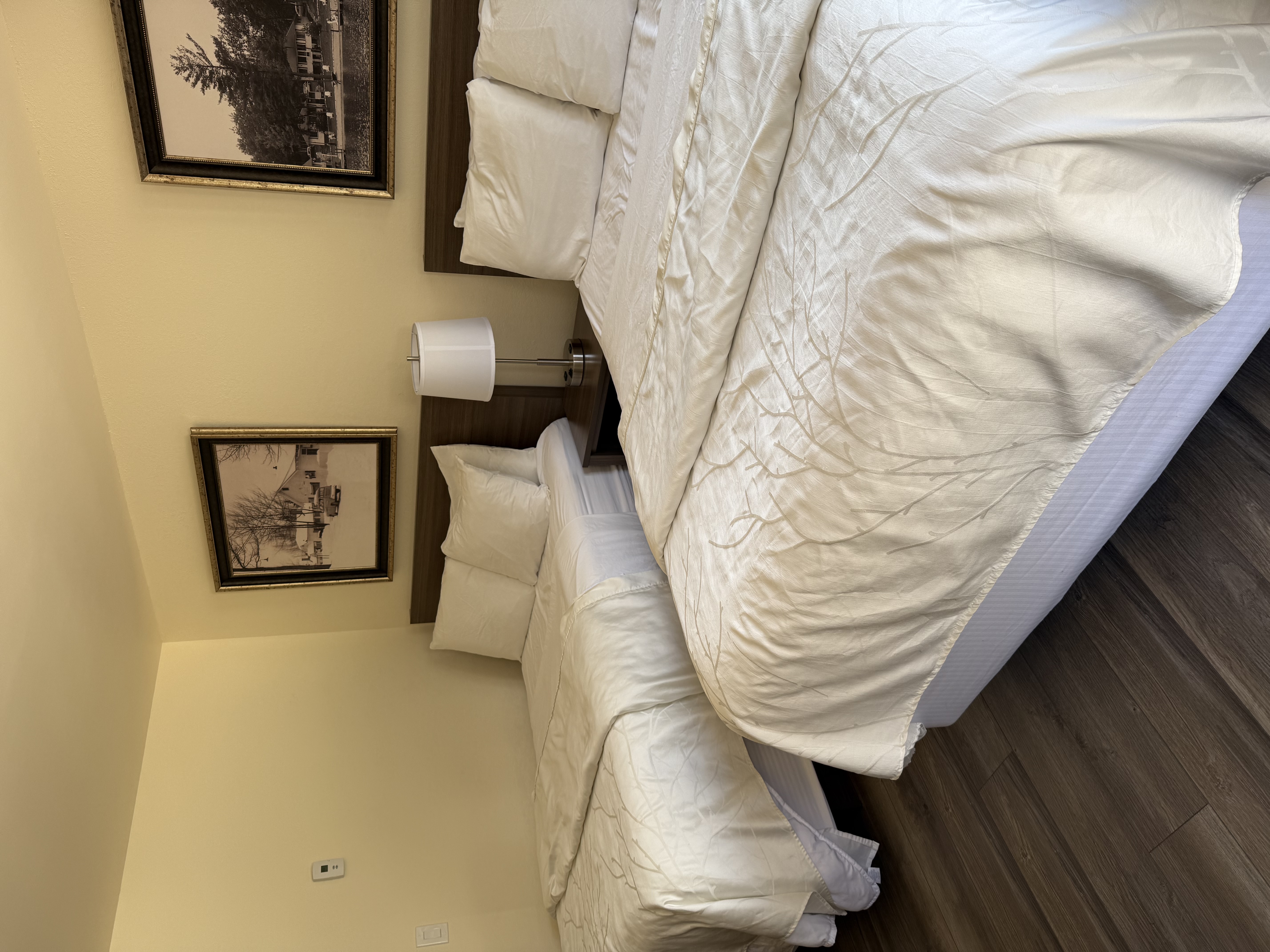 rental photo