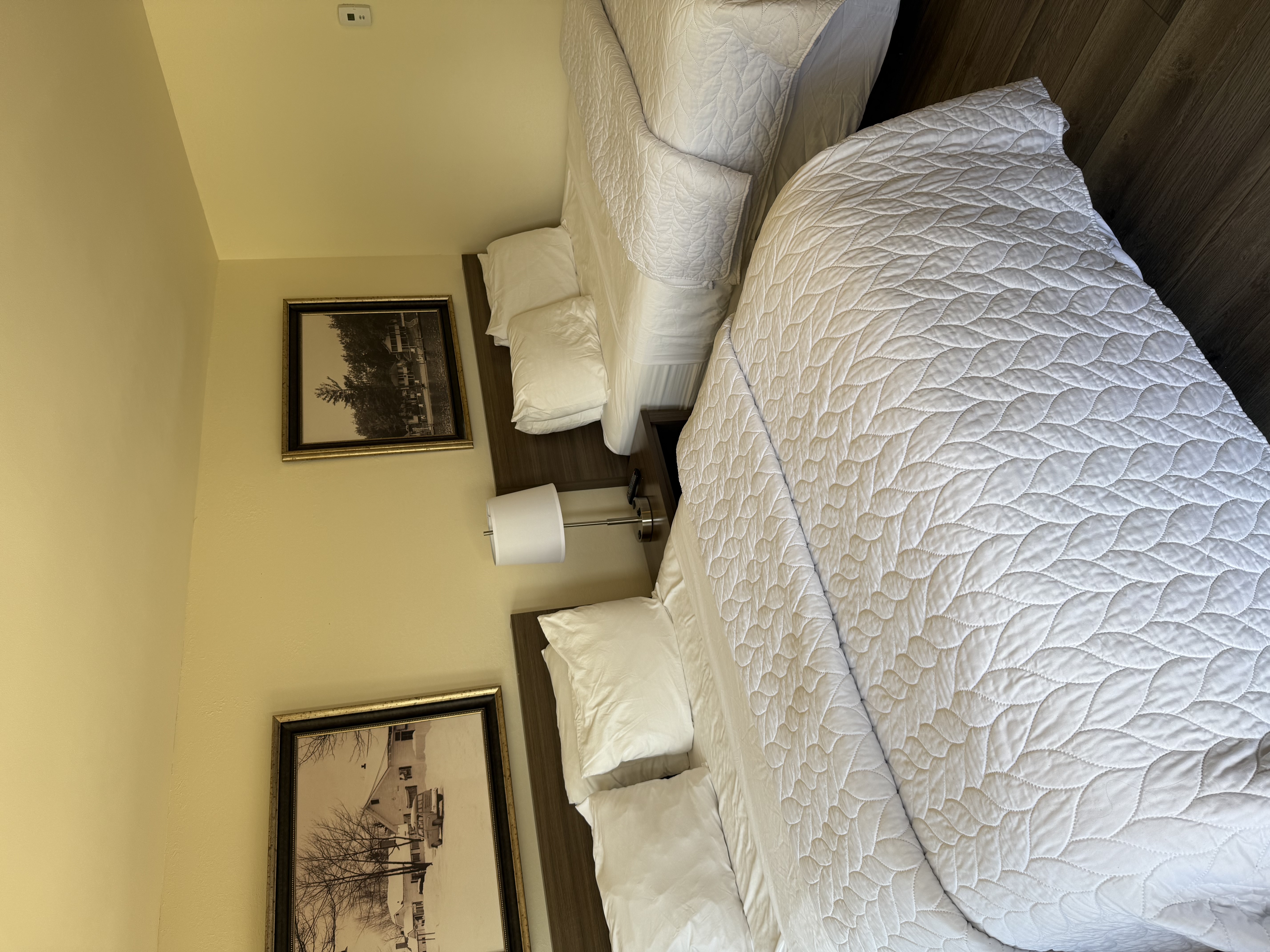 rental photo