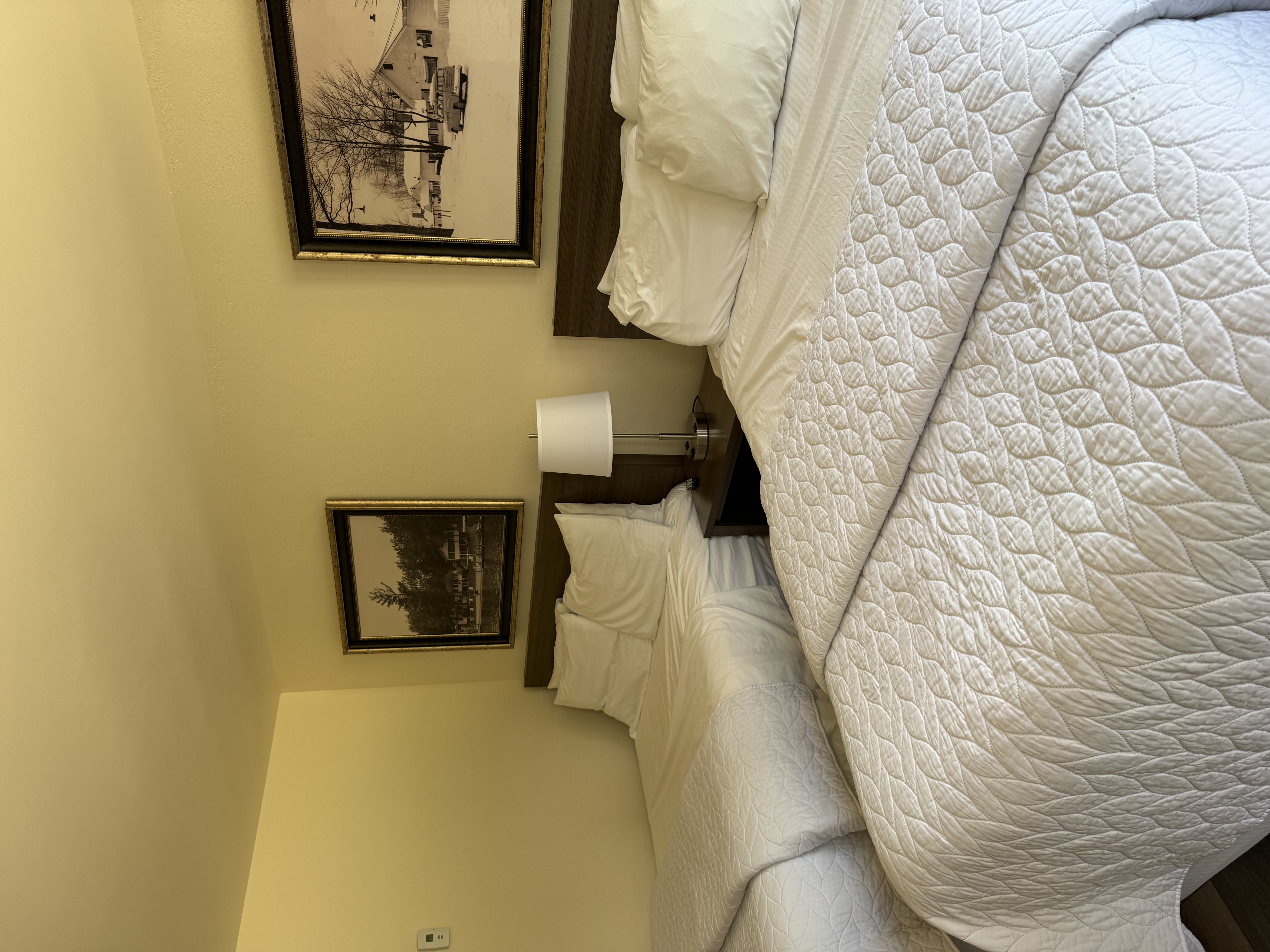rental photo