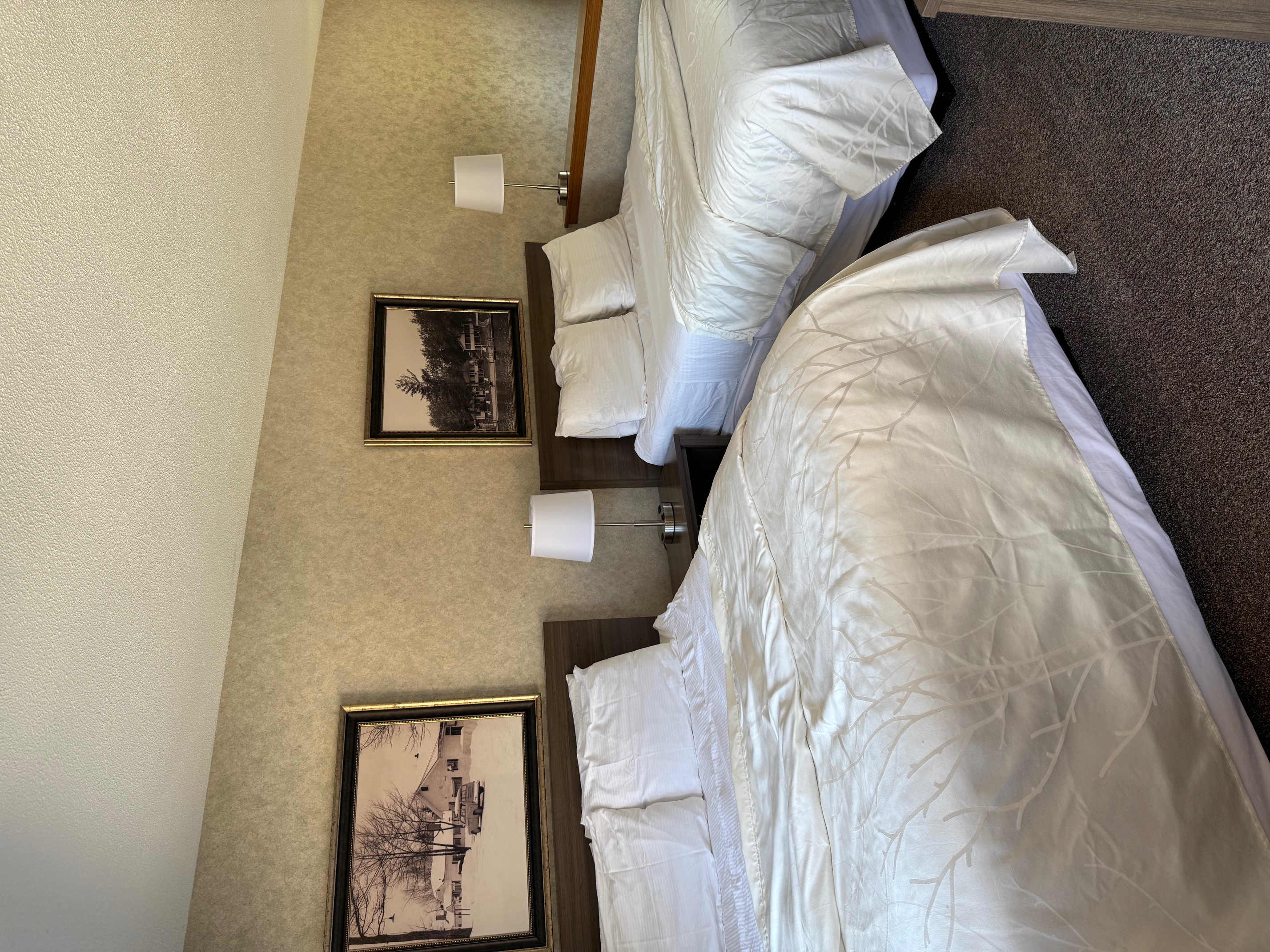 rental photo
