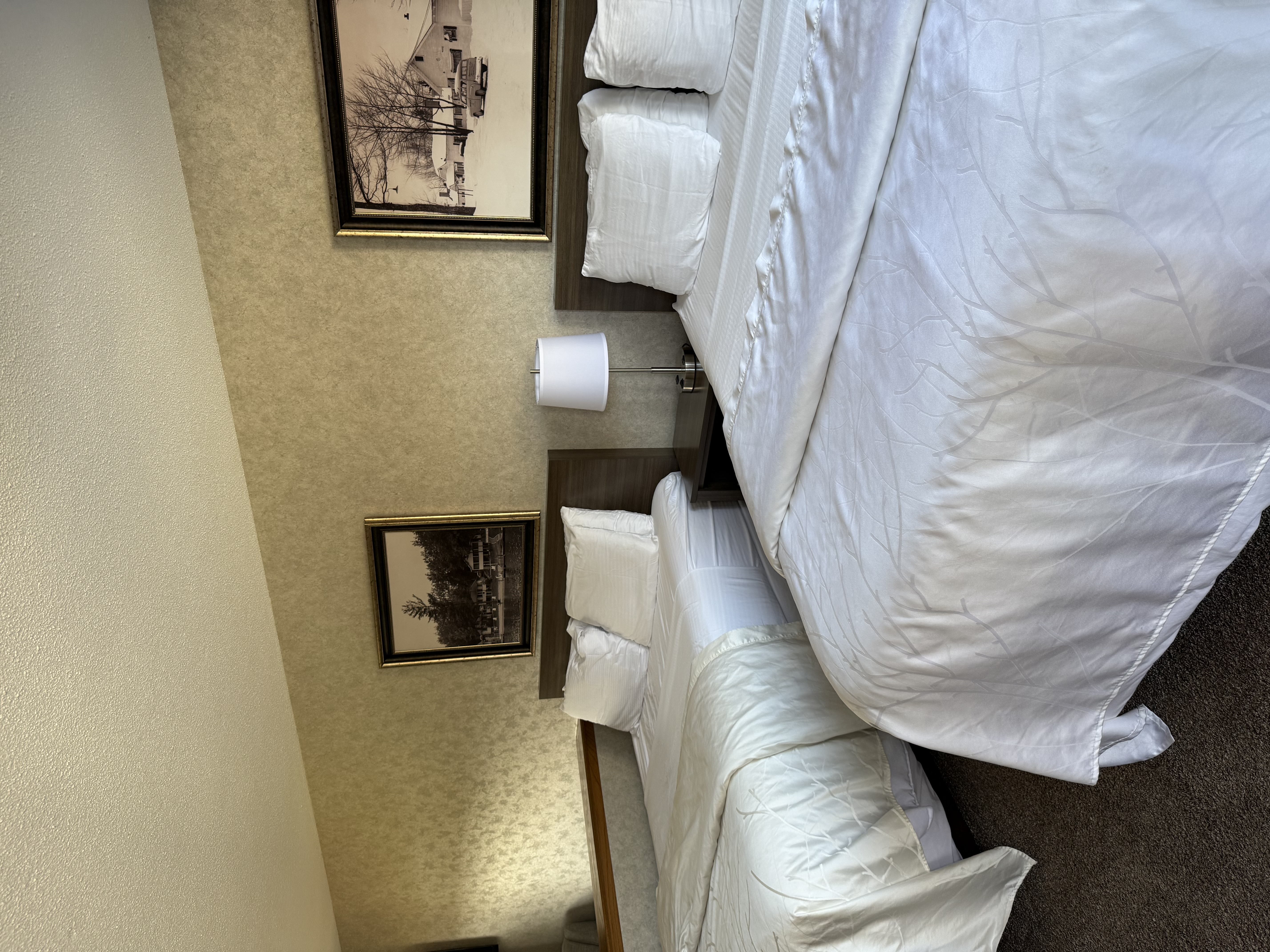 rental photo