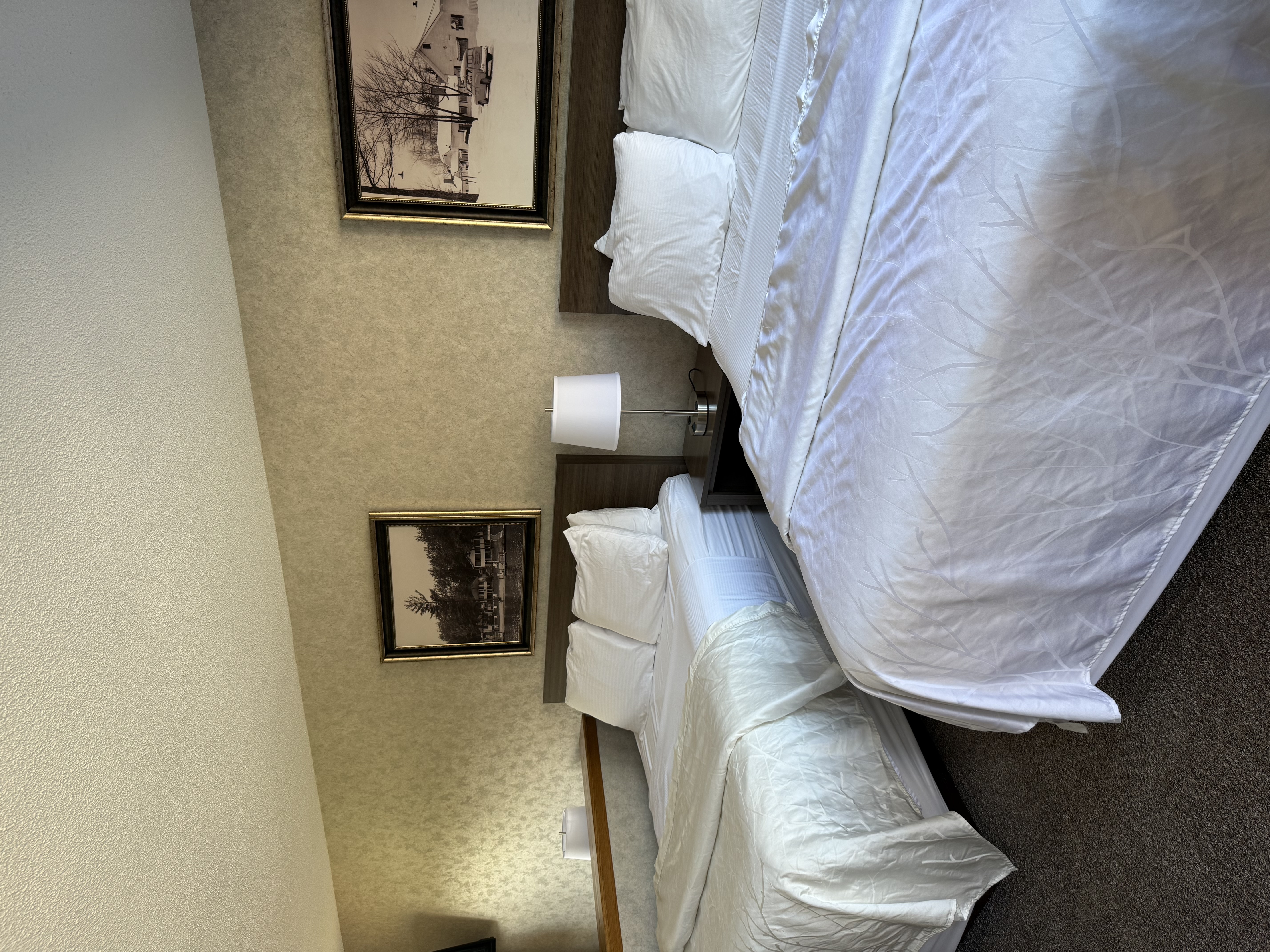 Room 44
