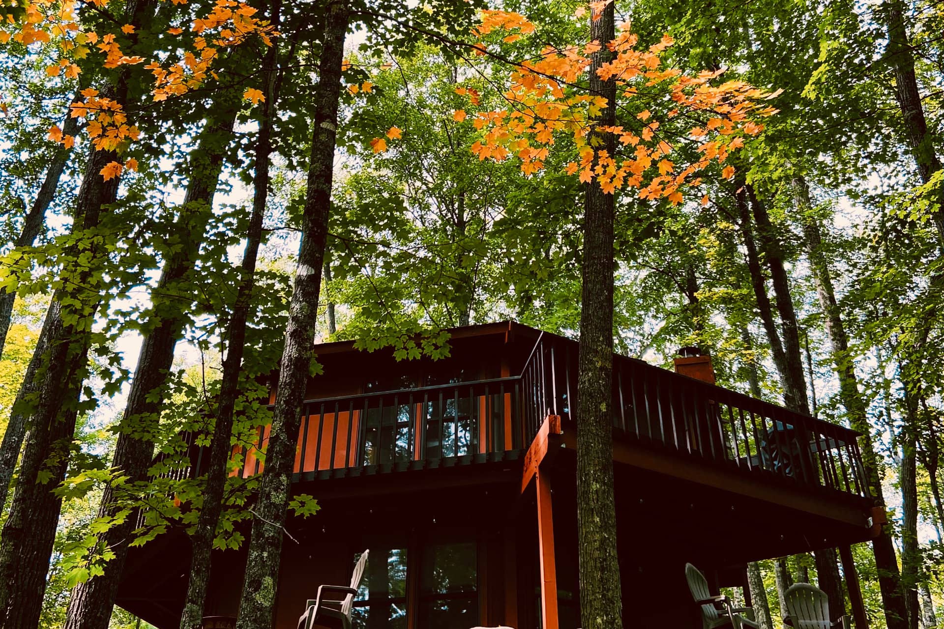 Treehouse 2