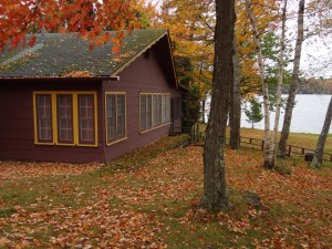 rental photo