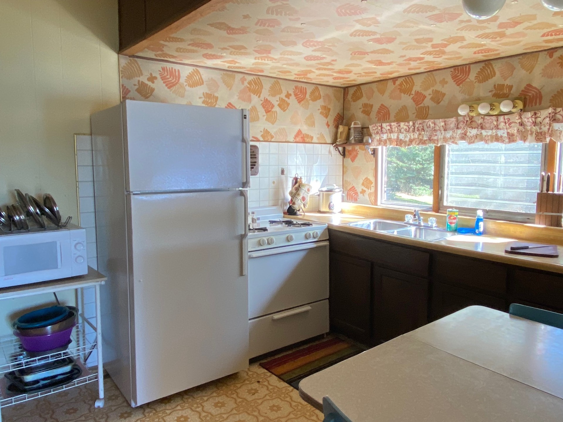 rental photo