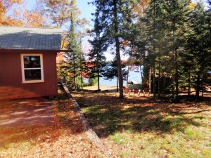 rental photo