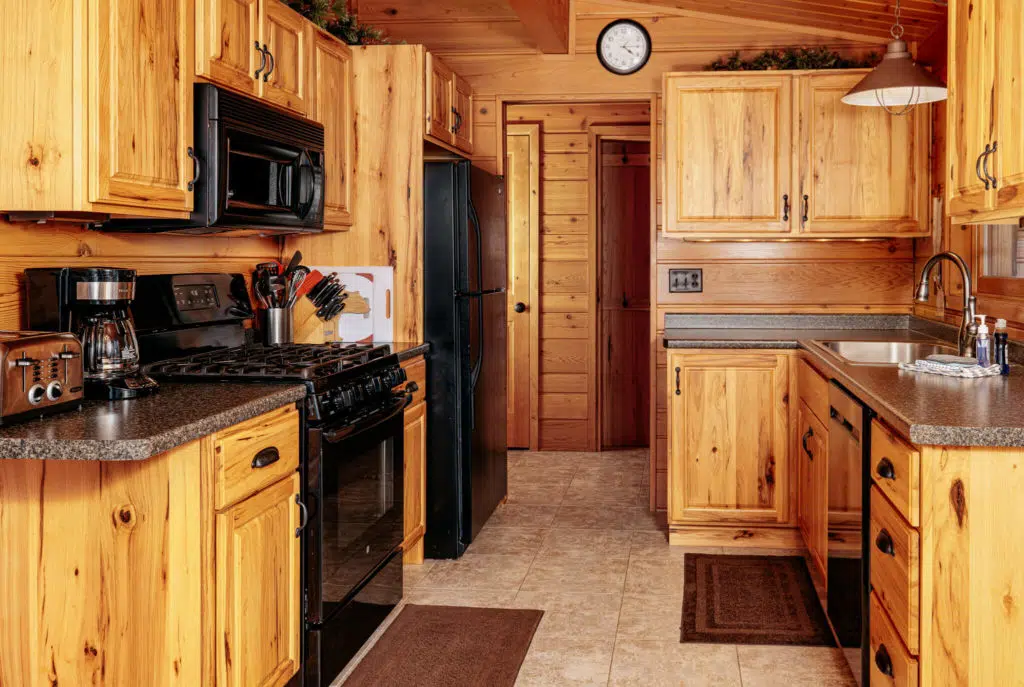 rental photo
