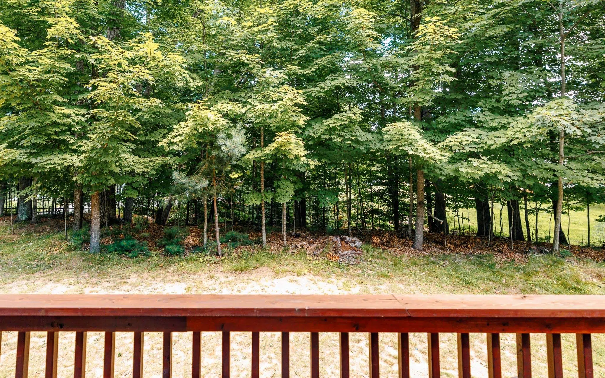 rental photo