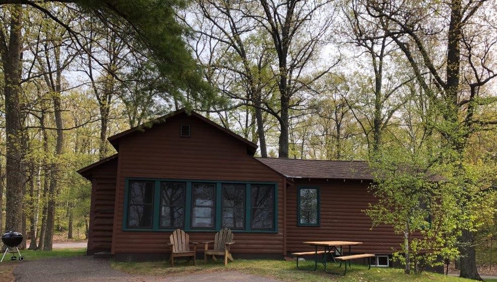 Knotty Pine