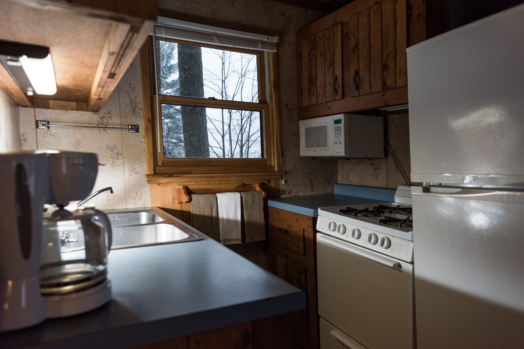 rental photo