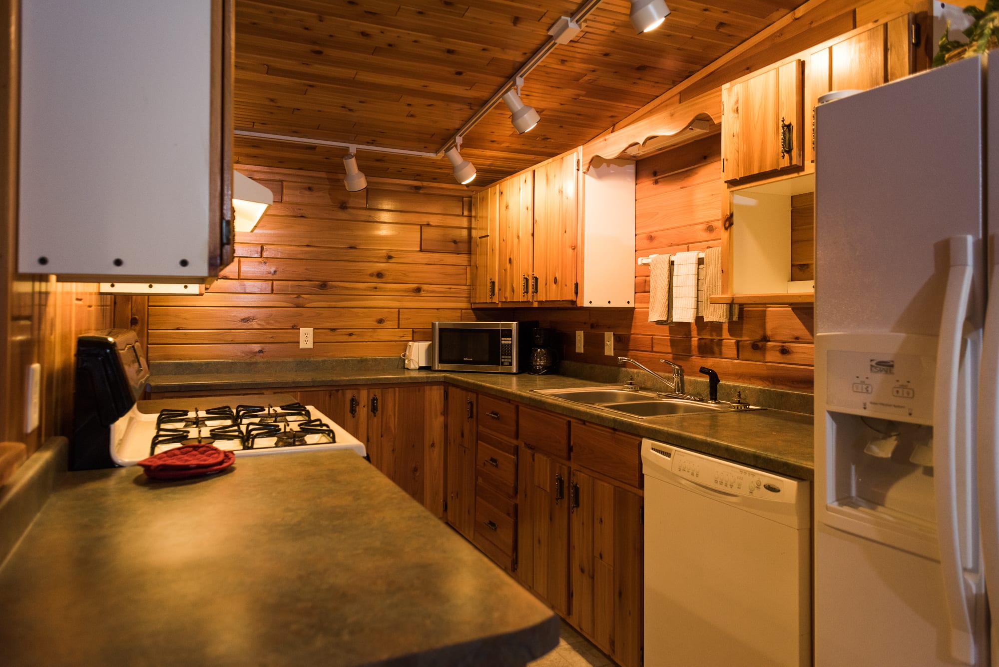 rental photo