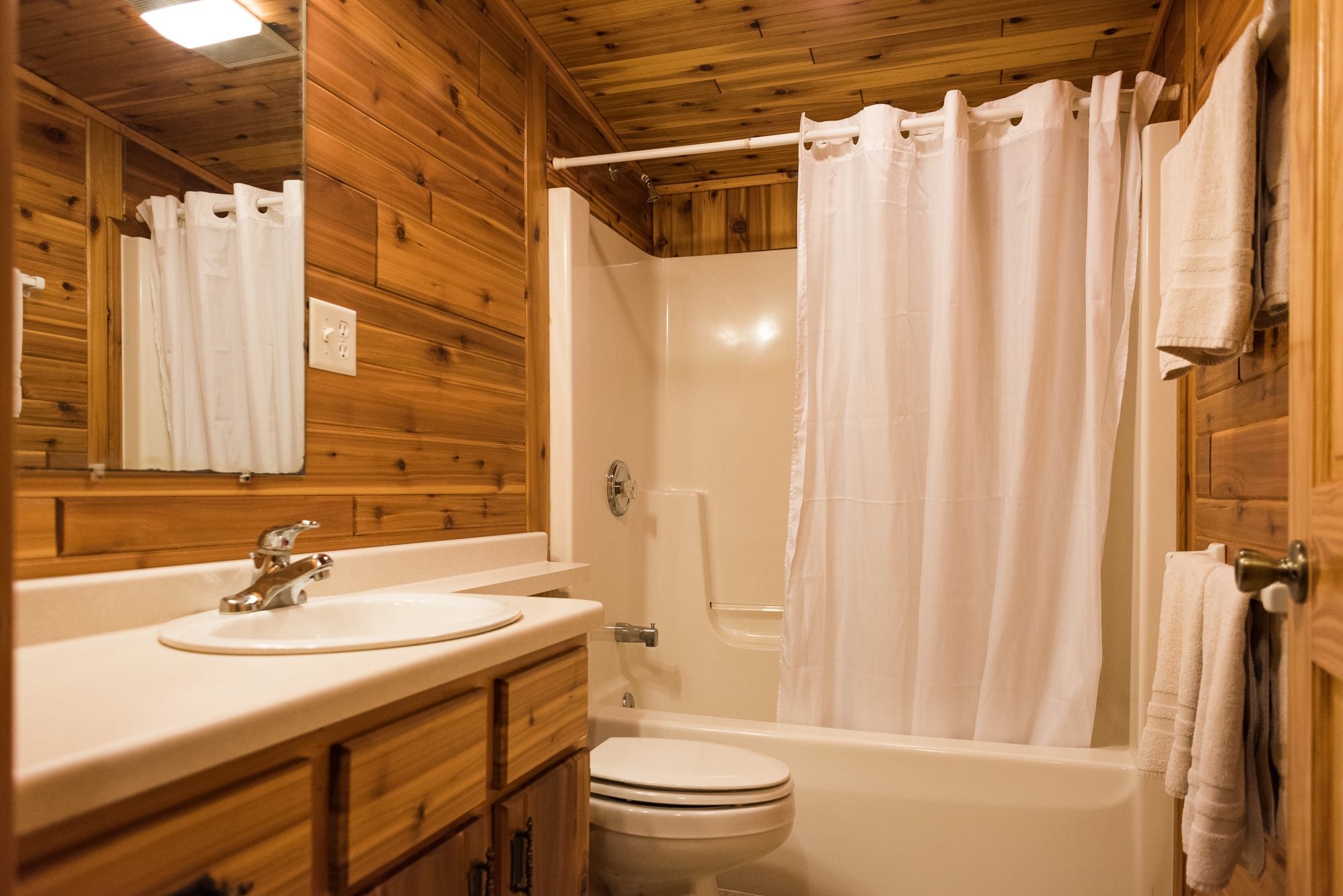 rental photo
